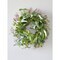 22" Eucalyptus Wreath Lush Greenery Door & Wall Decor for All Seasons